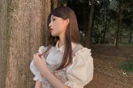 -2026最新版vv